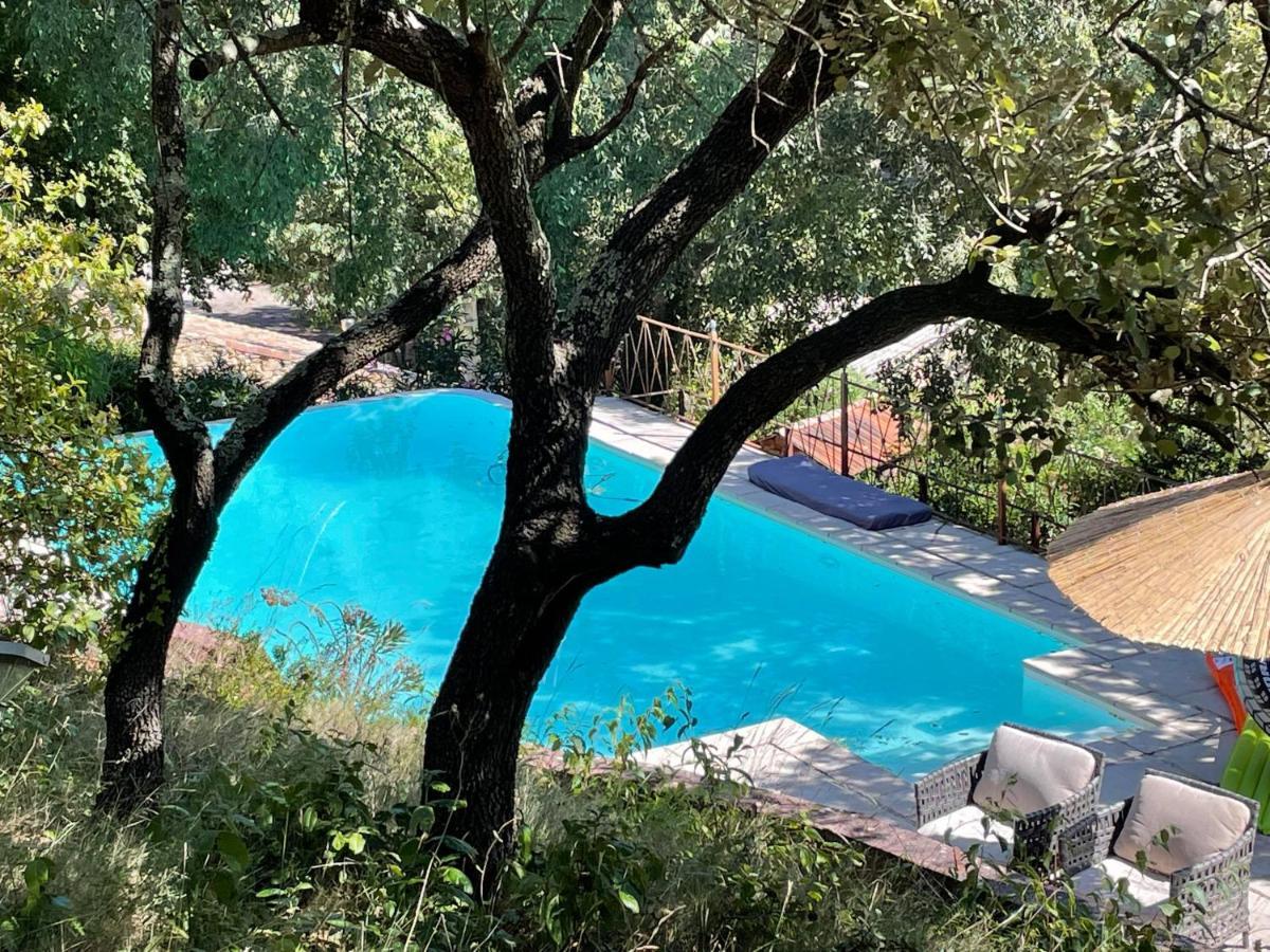 Jolie Annexe Du Mas Dans Le Coeur De La Garrigue Nimoise Villa Nimes Exterior photo